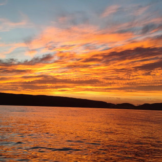 Amanecer en Barco con Fotos y Vídeos (La Caleta de Adeje, Tenerife)