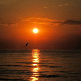 Amanecer en Velero con Desayuno (Badalona, Barcelona)
