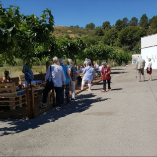 Visita a la Fábrica-Museo de Anchoas SOLÉS con Audioguía y Degustación (L'Escala, Girona)