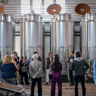 Tour y Cata: Visita con Cata y Degustación en Bodegas Ángel (Santa María del Camí, Mallorca)