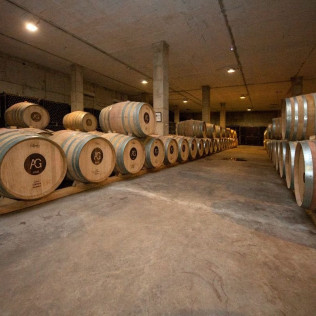 Tour y Cata: Visita con Cata y Degustación en Bodegas Ángel (Santa María del Camí, Mallorca)