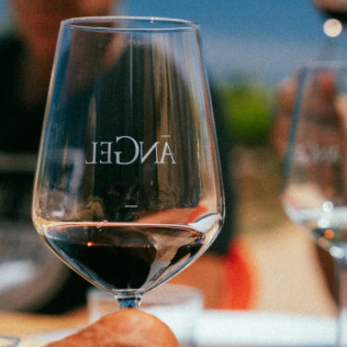 Tour y Cata: Visita con Cata y Degustación en Bodegas Ángel (Santa María del Camí, Mallorca)