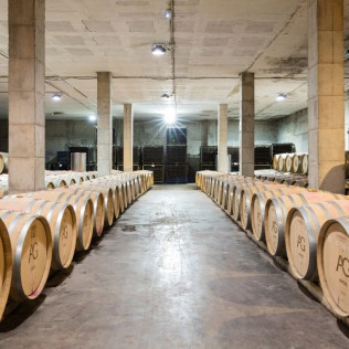 Tour y Cata: Visita con Cata y Degustación en Bodegas Ángel (Santa María del Camí, Mallorca)
