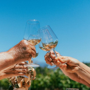 Tour y Cata: Visita con Cata y Degustación para dos en Bodegas Ángel (Santa María del Camí, Mallorca)