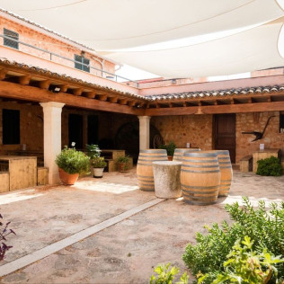 Tour y Cata: Visita con Cata y Degustación para dos en Bodegas Ángel (Santa María del Camí, Mallorca)