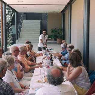 Taller de Apicultura con Cata de 3 Vinos y Degustación de Vino con Miel, AOVE Ecológico y Mieles Ecológicas para dos (Bullas, Murcia)