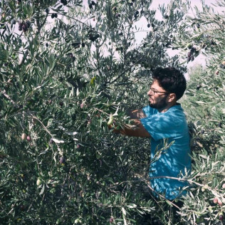 Taller de Apicultura con Cata de 3 Vinos y Degustación de Vino con Miel, AOVE Ecológico y Mieles Ecológicas para dos (Bullas, Murcia)