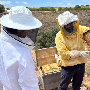 Taller de Apicultura con Cata de 3 Vinos y Degustación de Vino con Miel, AOVE Ecológico y Mieles Ecológicas para dos (Bullas, Murcia)