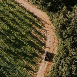 "El Misterio": Paseo por Viñedos en 4x4 y Visita a Bodega Arínzano con Cata de Vinos y Aperitivo (Navarra)