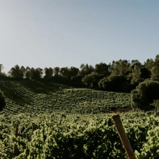 "El Misterio": Paseo por Viñedos en 4x4 y Visita a Bodega Arínzano con Cata de Vinos y Aperitivo (Navarra)