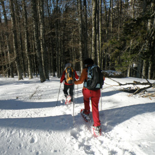 Aventura Invernal: Raquetas de Nieve y Circuito Spa (Madrid)