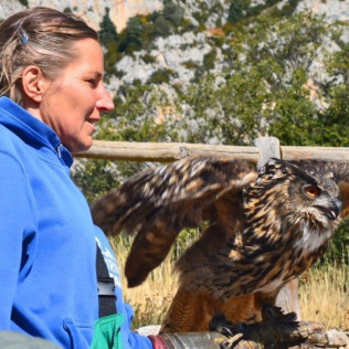 Exhibición de Vuelo de Aves Rapaces (Lleida)