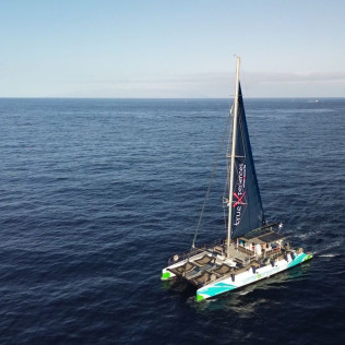 Avistamiento y Escucha de Ballenas y Delfines de 5 horas (Costa Adeje, Tenerife) 