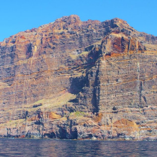 Avistamiento y Escucha de Ballenas y Delfines de 5 horas (Costa Adeje, Tenerife) 