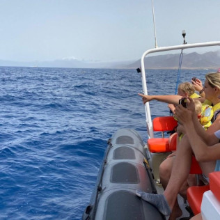Tour de Avistamiento de Cetáceos para ver Delfines y Ballenas (Morro Jable, Fuerteventura)