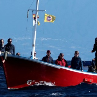 Excursión en Barco con Avistamiento de Cetáceos (La Gomera)