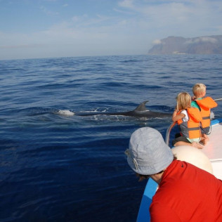 Excursión en Barco con Avistamiento de Cetáceos (La Gomera)