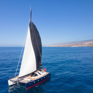Excursión en Catamarán Chill-Out con Avistamiento de Cetáceos (Costa Adeje, Tenerife) 