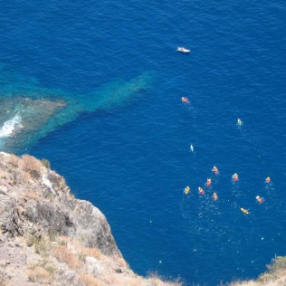 Paseo en Barco, Avistamiento de Cetáceos y Kayak (Los Gigantes, Tenerife)