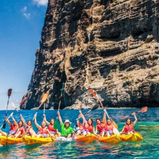 Paseo en Barco, Avistamiento de Cetáceos y Kayak (Los Gigantes, Tenerife)