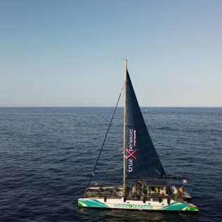 Avistamiento y Escucha de Ballenas y Delfines de 3 horas (Costa Adeje, Tenerife) 