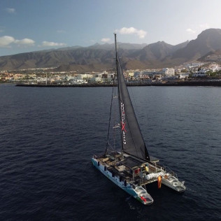 Avistamiento y Escucha de Ballenas y Delfines de 3 horas (Costa Adeje, Tenerife) 