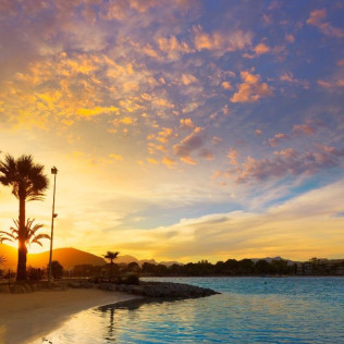 Delfines y Amanecer: Avistamiento de Delfines en Barco (S'Arenal, Mallorca)