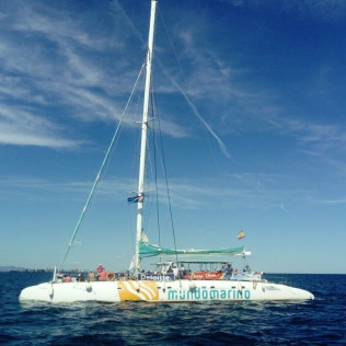 Tour por la Bahía: Excursión en Barco por la Bahía de Valencia (Valencia)