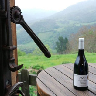 Circuito Spa y Menú en Hotel Balneario La Hermida 4* y Visita a la Bodega Picos de Cabariezo con Cata para dos (Cantabria)