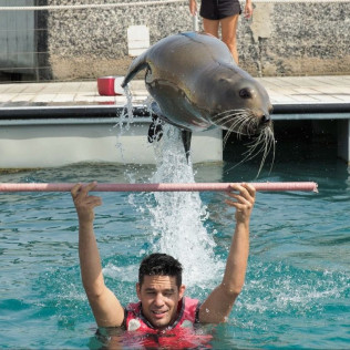 Baño con Leones Marinos (Fuerteventura, Las Palmas)