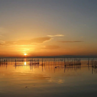 Paseo en Barca por la Albufera (Valencia)