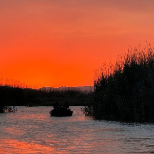 Paseo en Barca por la Albufera (Valencia)