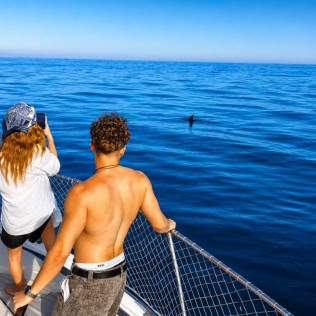 Paseo en Barco Privado para dos en Busca de Delfines por la Bahía de Estepona con Cava y Picoteo (Málaga)