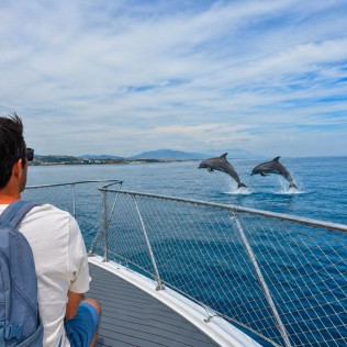 Paseo en Barco Privado para dos en Busca de Delfines por la Bahía de Estepona con Cava y Picoteo (Málaga)
