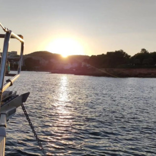 Day Charter: Salida de Medio Día en Barco (Palma, Mallorca)