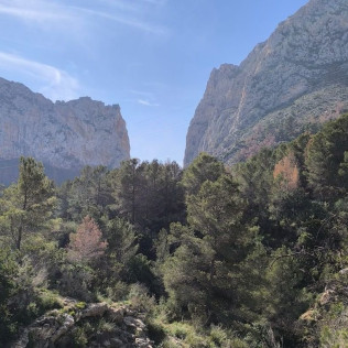 Barranquismo de Iniciación con Fotos y Vídeos (Alicante / Valencia)