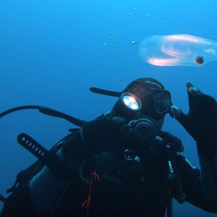 Bautizo de Buceo Privado con Instructor en Exclusiva (Las Negras, Almería)