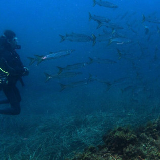 Bautizo de Buceo Privado con Instructor en Exclusiva (Las Negras, Almería)