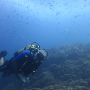 Bautismo de Buceo para 1 o 2 personas (La Azohía, Región de Murcia)