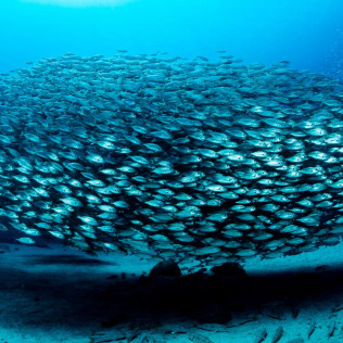 Bautismo de Buceo (Lanzarote)