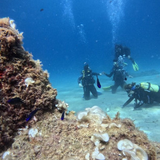 Bautizo de Buceo con Fotos y Vídeos Opcionales (Lloret de Mar, Girona)