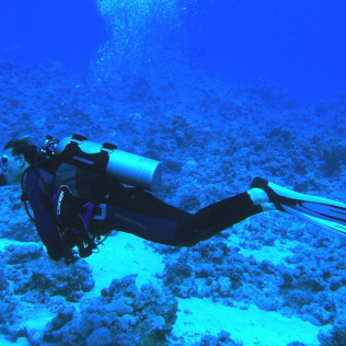 Bautismo de Buceo (Marina del Este)