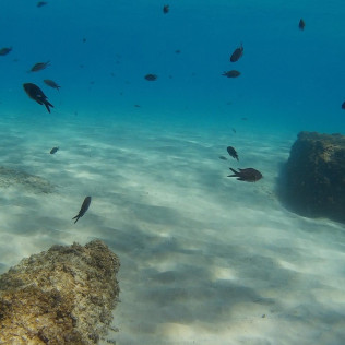 Bautismo de Buceo con Reportaje Fotográfico (Tarragona)