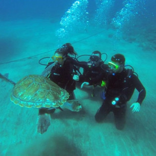 Bautismo de Buceo desde la Playa (Los Cristianos, Tenerife)