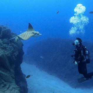 Bautismo de Buceo desde la Playa (Los Cristianos, Tenerife)