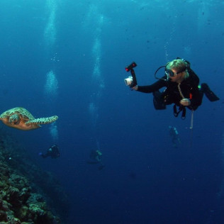 Bautismo de Buceo desde la Playa (Los Cristianos, Tenerife)