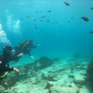 Bautizo de Buceo (Tarifa, Cádiz)