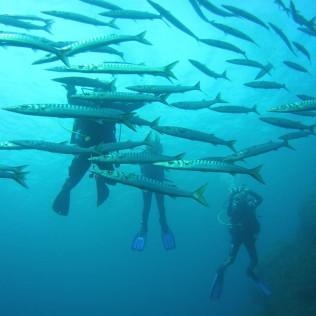 Bautizo de Buceo en la Reserva Marina de Menorca (Es Mercadal, Menorca)