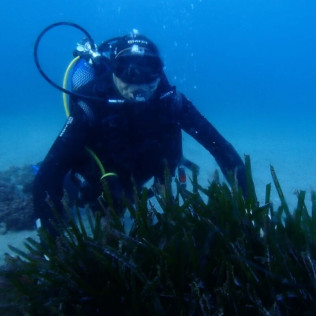 Bautizo de Buceo con Fotos (Almerimar, Almería)
