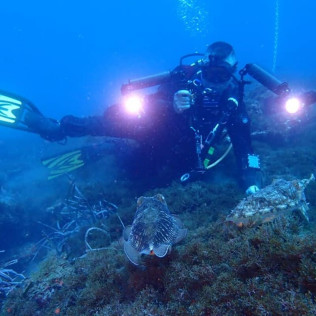 Bautizo de Buceo con Fotos (Almerimar, Almería)